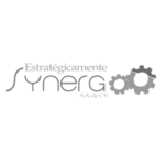 synerg
