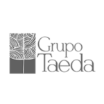 taeda
